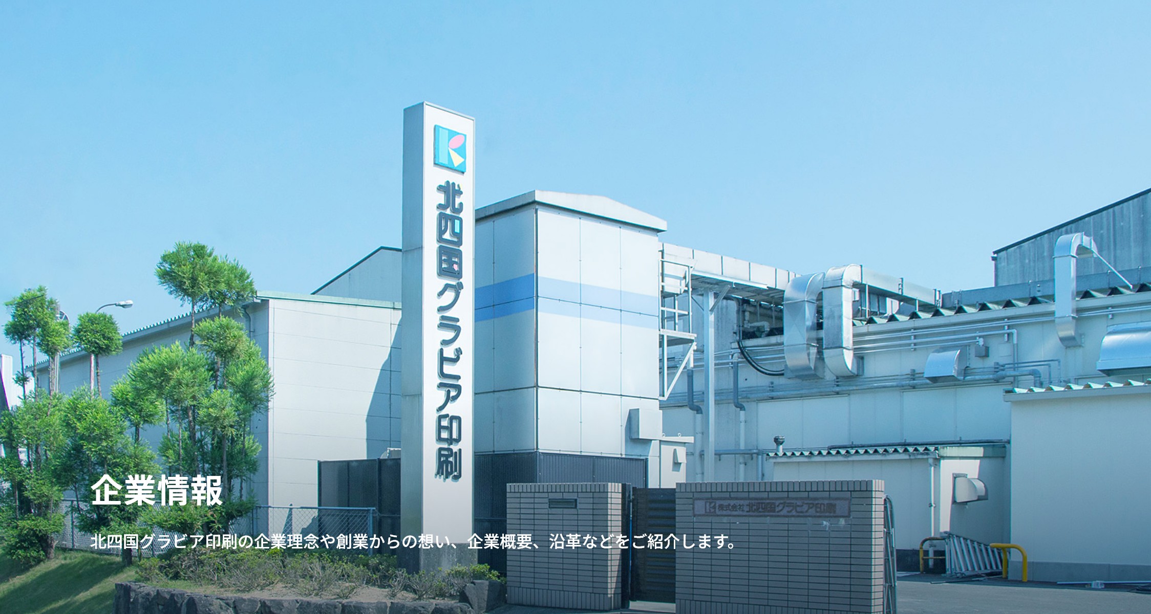 企業情報