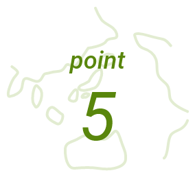 point 5